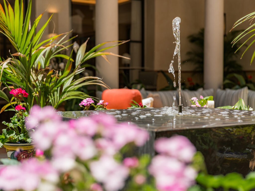 Close up shot of the water feature in the courtyard